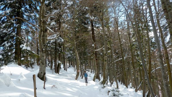 Kurzer Rutscher durch den Wald