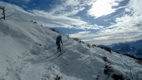 Auf dem Hang zum Wieserhörndl