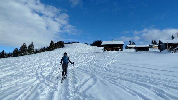 Gute Schneelage hier heroben