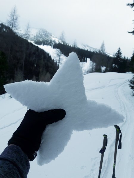 Catch a falling star...