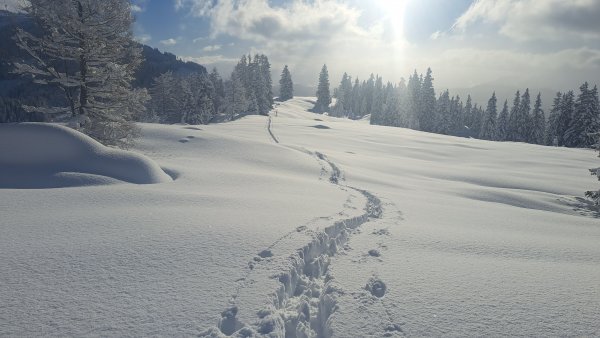 Aufstieg übers Gruberach