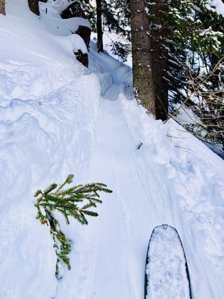 die Richtung is klar😁