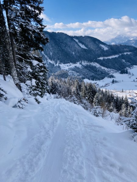 erster Aus und Rückblick ins Tal…