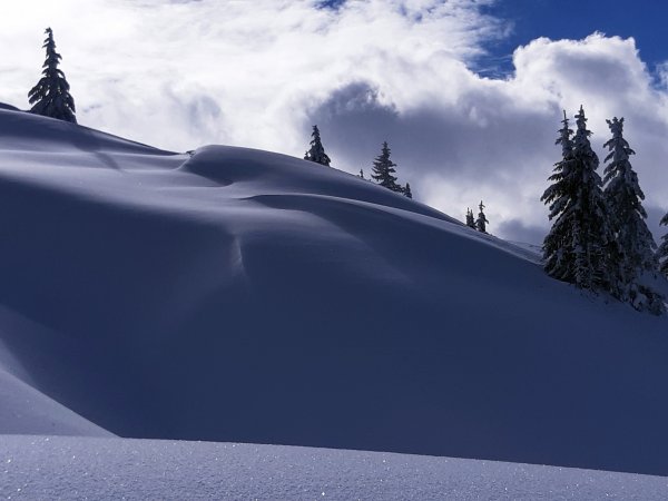 Nordwestseitig Pulverschnee