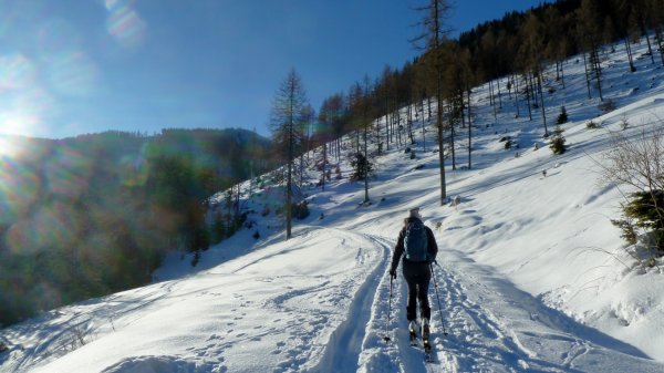 Oberhalb des Stubnerbaches