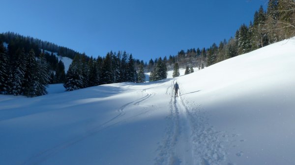 Im freien Gelände Richtung Stubneralm