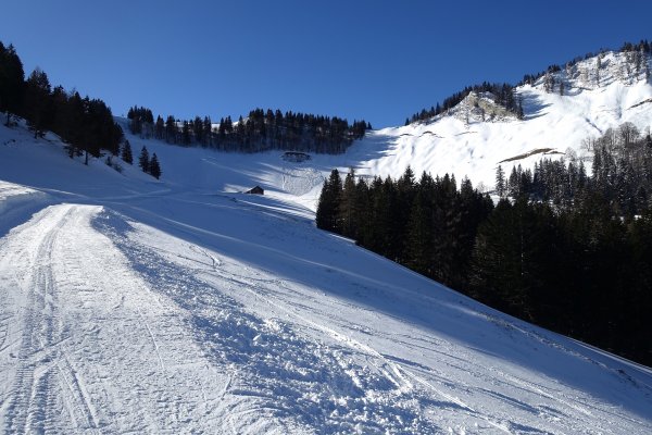 präparierte Forststraße