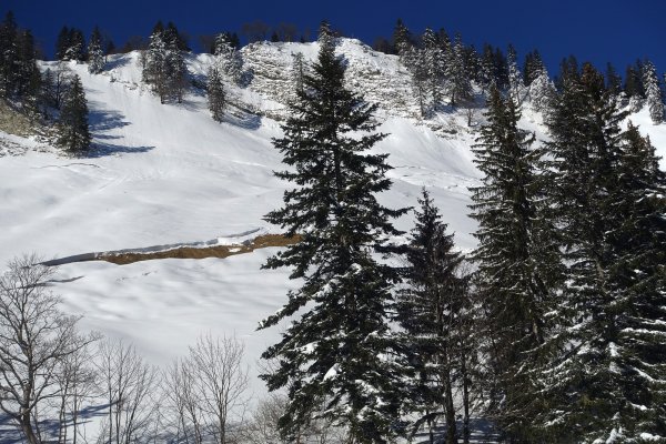 Lawinenmaul am Gartenberg