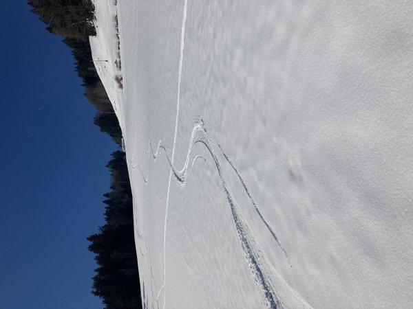 Was willmann mehr...
