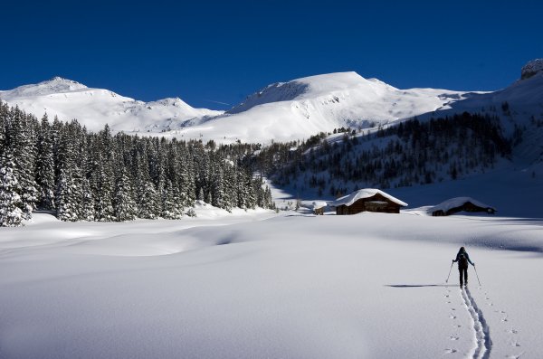 Durchgangsalmen mit Seekopf rechts der Bildmitte