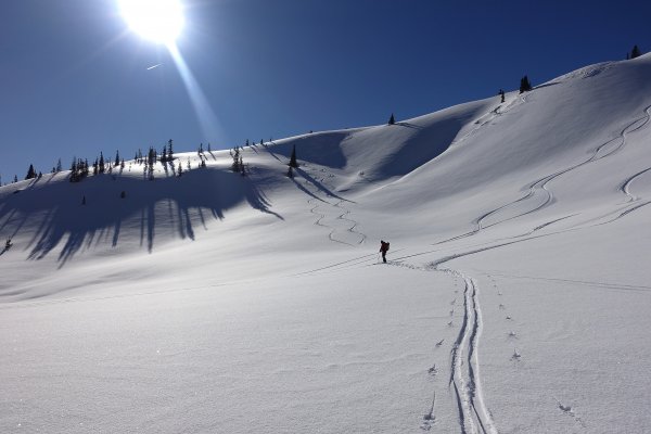 die defensive Variante