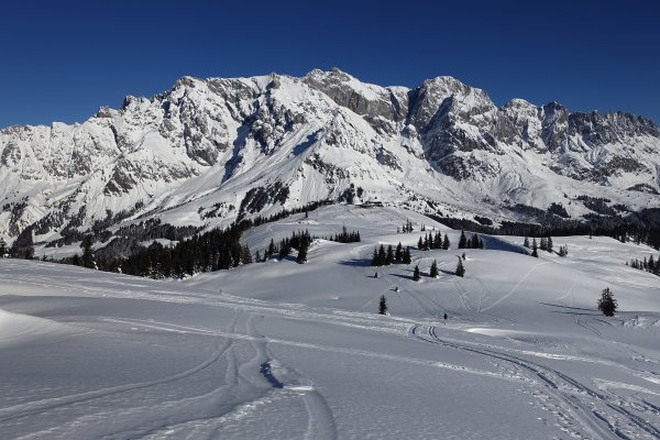 seine Majestät der König