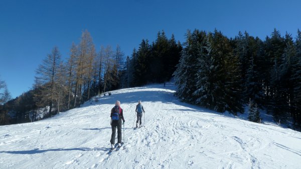 Kurz vor der Gipfelschneise