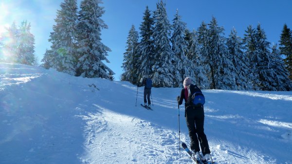 Wintertraum am Ende des Schiliftes
