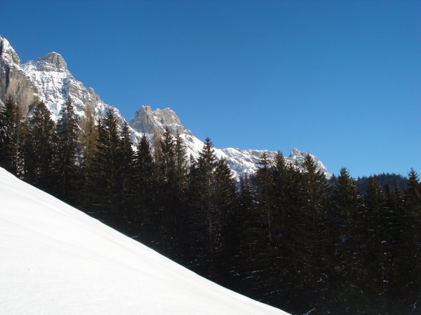 Bäume verlieren schon den Anhang trotz Minusgraden