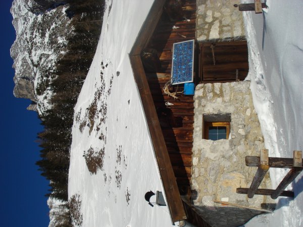 Friedliches Neben- und Miteinander