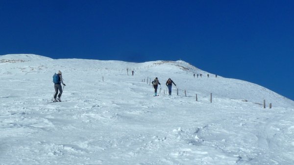 Gipfelbereich ist abgeblasen