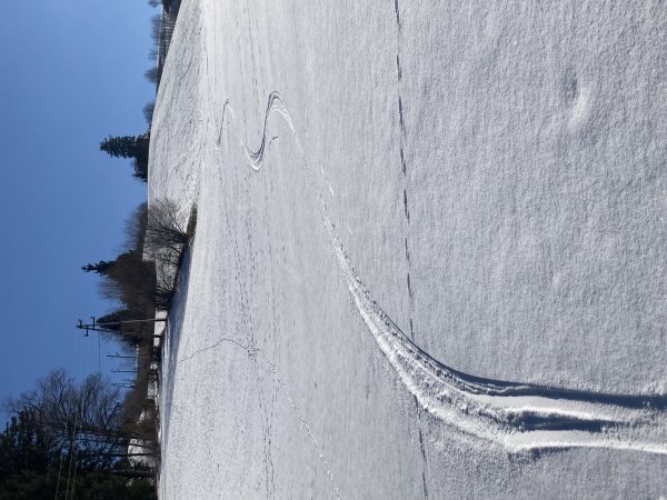 Da gehts wieder bestens ...