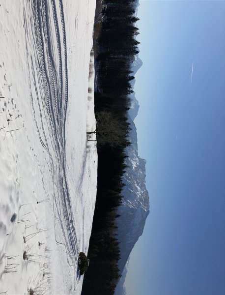 Die Abfahrt war immer ausgebrettelt