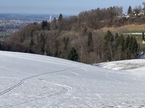 Die letzten Schwünge