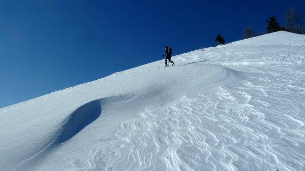Der Wind der letzten Tage hat seine Spuren hinterlassen