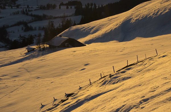 goldenes Licht vor Sonnenuntergang