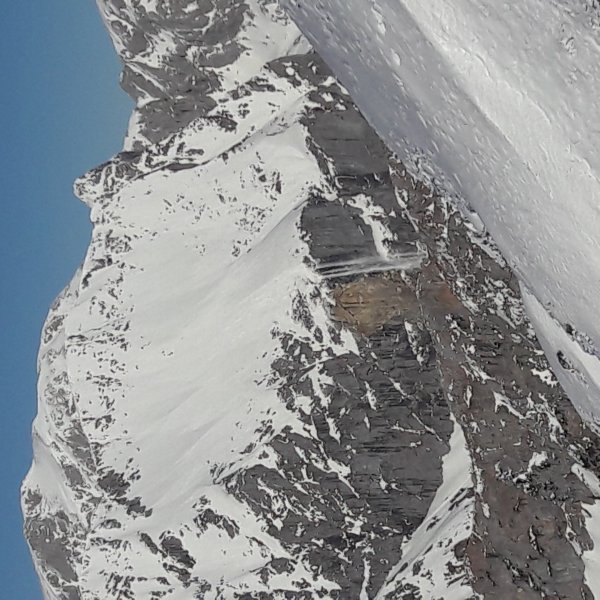 Gleitschneelawinen aus den Südwänden vom Hohen Brett