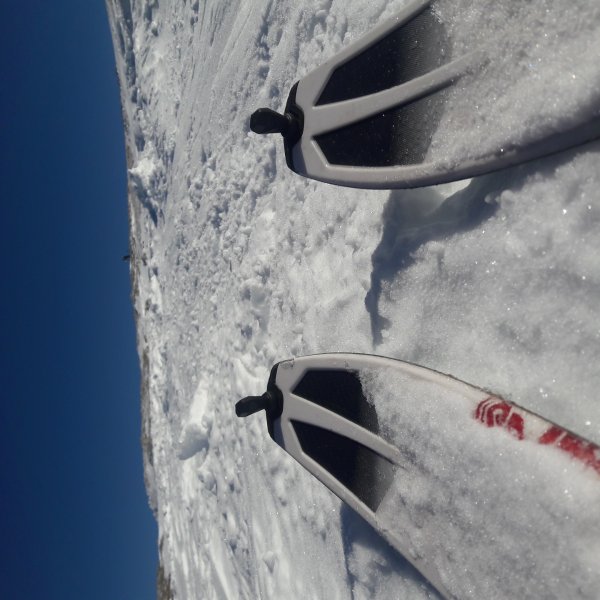 Schneibsteingipfel nimmer weit