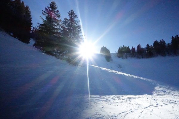 Sonne statt Nebel 2
