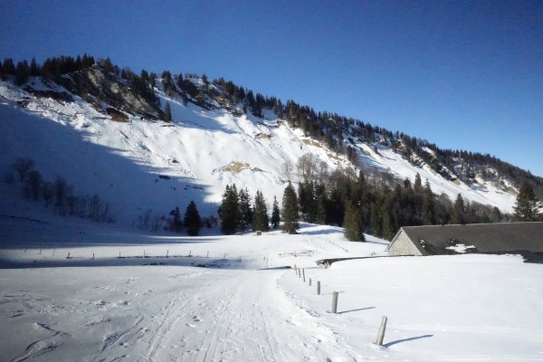 Stubneralm und Gartenberg