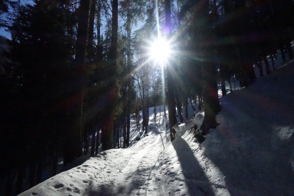 Sonne statt Nebel 1