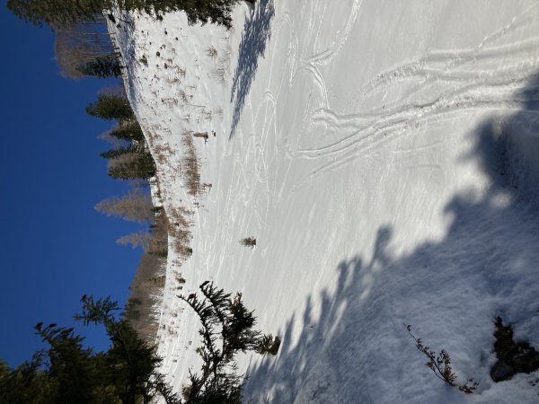 Sonnenhang sehr weich (um 14 Uhr)