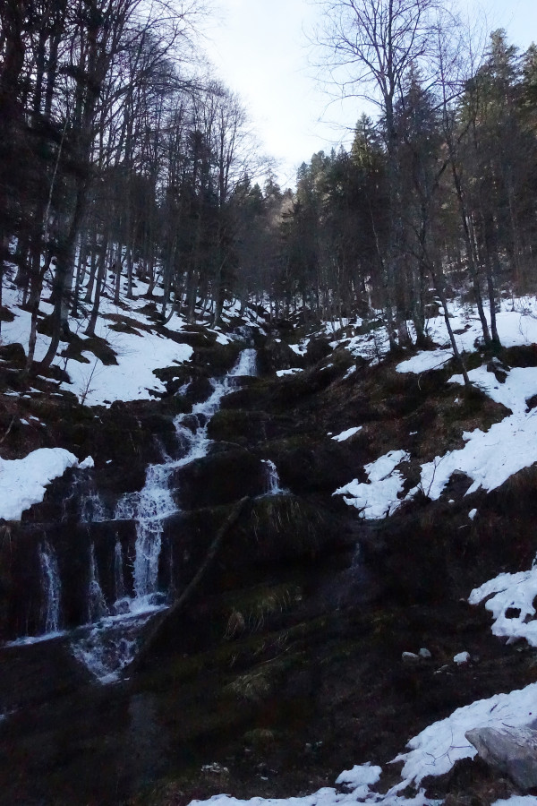 der Schnee rinnt davon