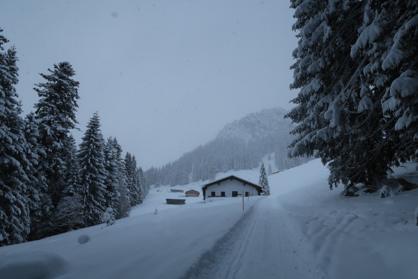 Frisch präparierte Rodelbahn