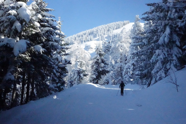 der Winter ist zurück