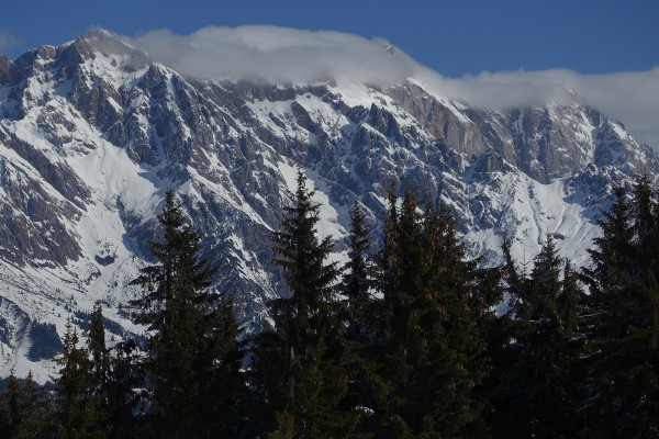 der König trägt Haube