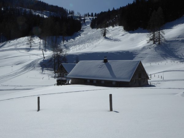 Mittereggalm