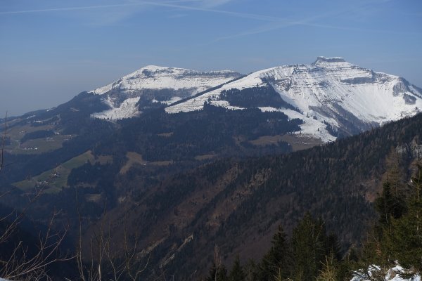 schaut nach länger tragen aus