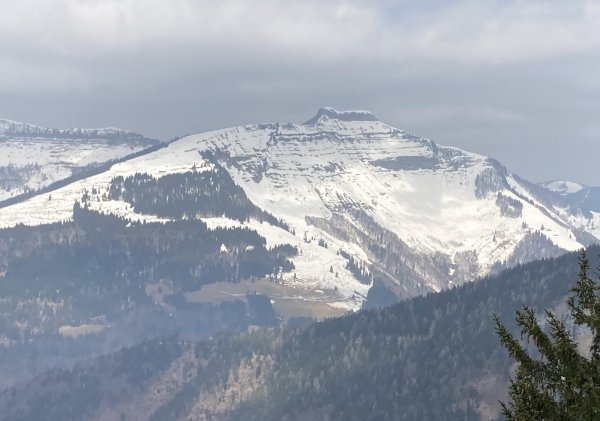 Schlenkstein schaut mager aus