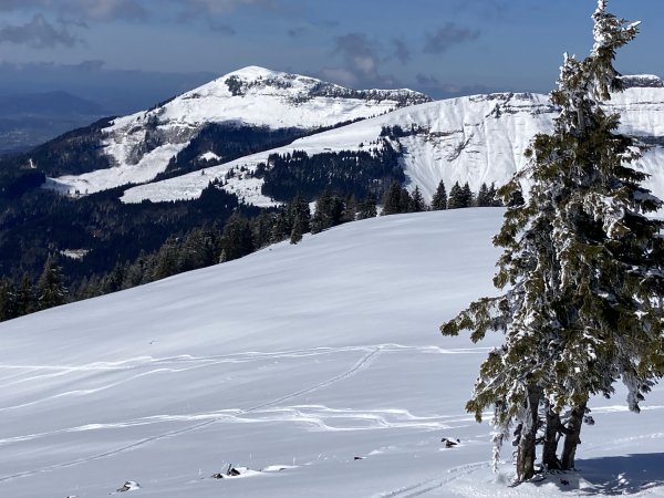 Superpulver auf der Nordabfahrt