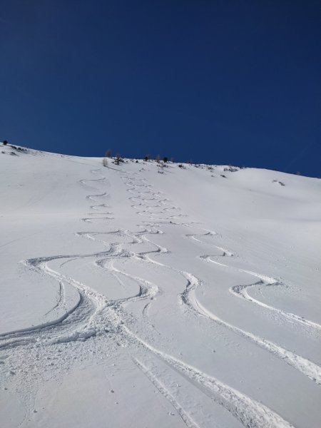 a bisserl wos geht imma