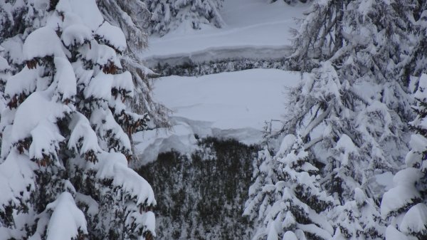 Rutschungen auch im lichten Wald