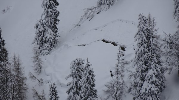 und er gleitet immer noch