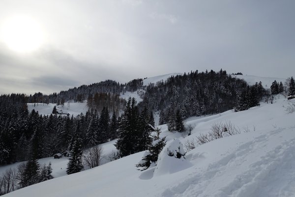 oben ist es wärmer - der Baumbehang kommt schon runter