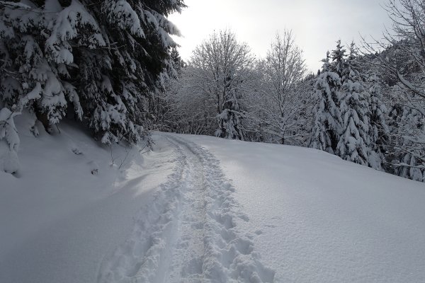 es zieht schon langsam zu