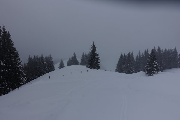 Schafberg und Loibersbacher Höhe im Nebel