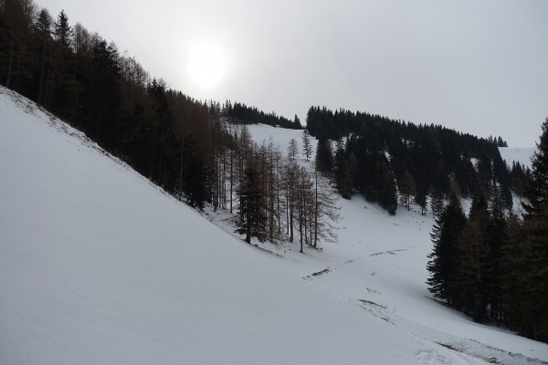 mit Fantasie Sonnenschein