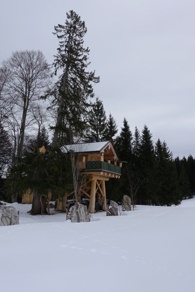 Baumbruch beim Baumhaus