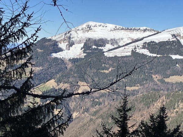 Schlenken zum Niglkar geht auch schön, 1/4 Stunde schitragen in der Abfahrt