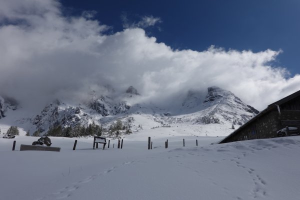 der Nebel lichtet sich
